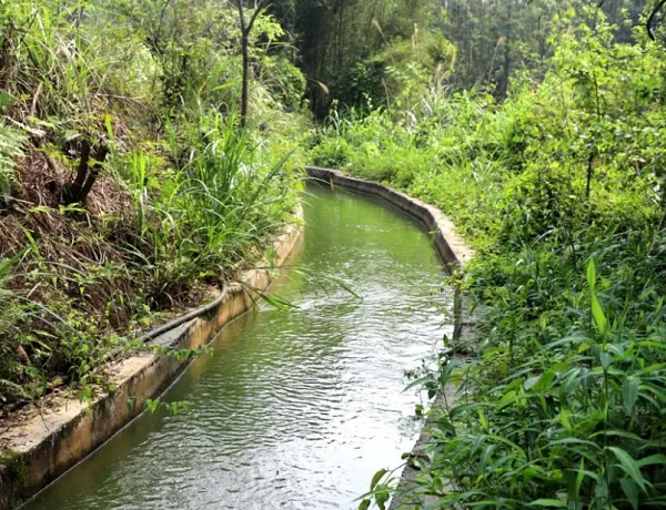 1736729756895147.png 圖片12.png